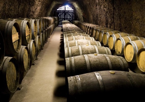 Cantina con botti in legno